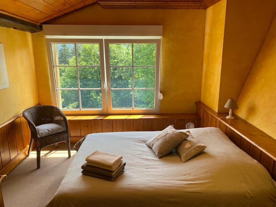 Ferme De Chenezeau - 15 Personnes , 7 Chambres Gérardmer Esterno foto