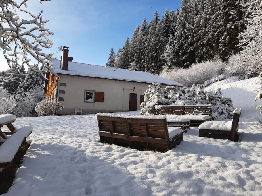 Ferme De Chenezeau - 15 Personnes , 7 Chambres Gérardmer Esterno foto