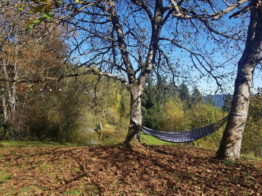Ferme De Chenezeau - 15 Personnes , 7 Chambres Gérardmer Esterno foto