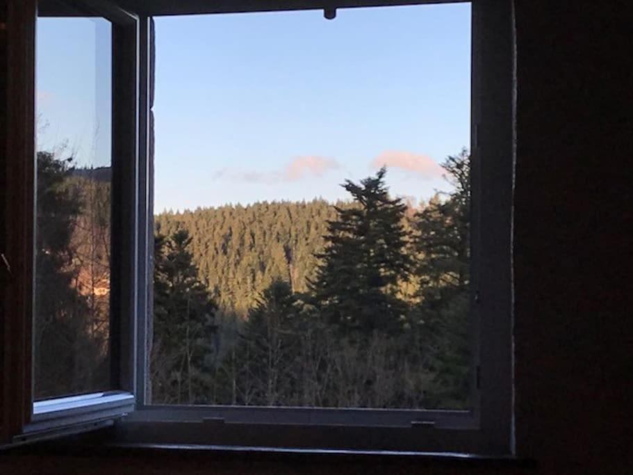 Ferme De Chenezeau - 15 Personnes , 7 Chambres Gérardmer Esterno foto
