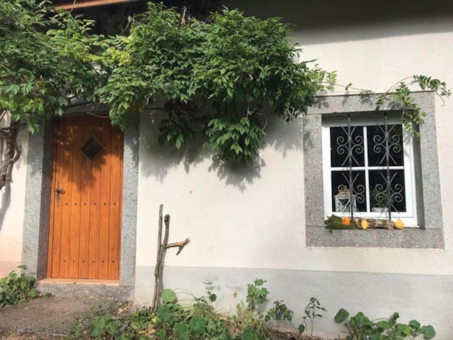 Ferme De Chenezeau - 15 Personnes , 7 Chambres Gérardmer Esterno foto