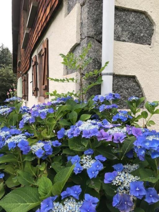 Ferme De Chenezeau - 15 Personnes , 7 Chambres Gérardmer Esterno foto